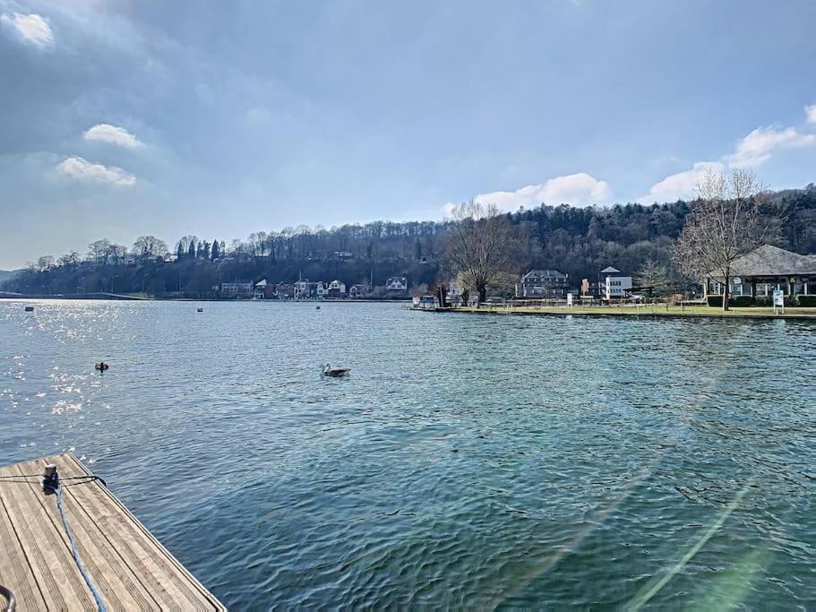 Vue Sur Meuse Avec Jacuzzi Et Sauna Exterieur. Yvoir Kültér fotó
