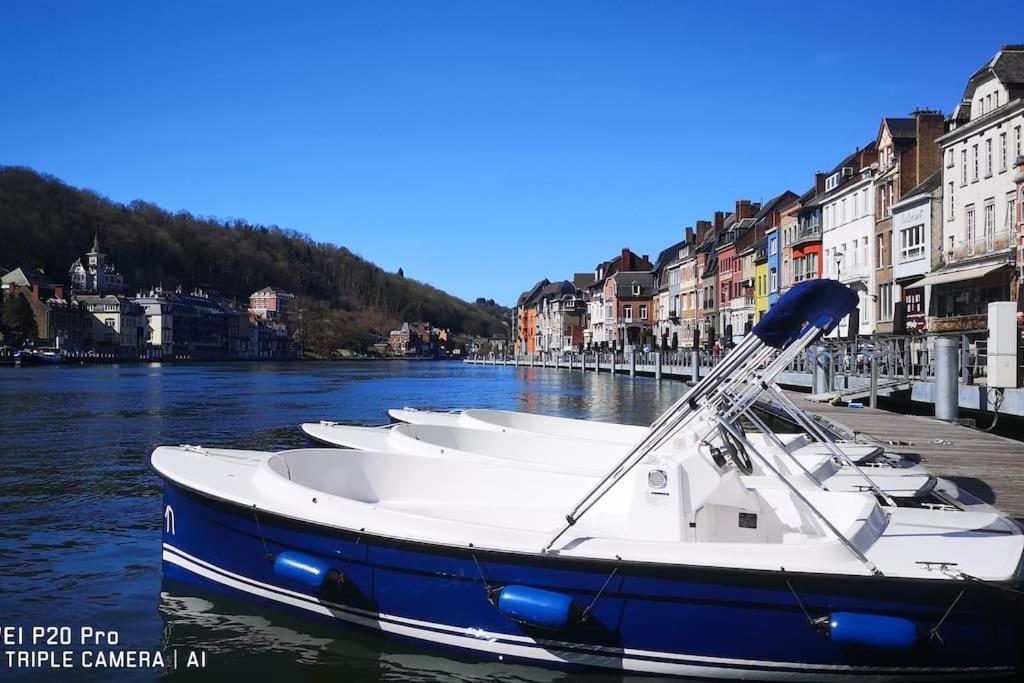 Vue Sur Meuse Avec Jacuzzi Et Sauna Exterieur. Yvoir Kültér fotó