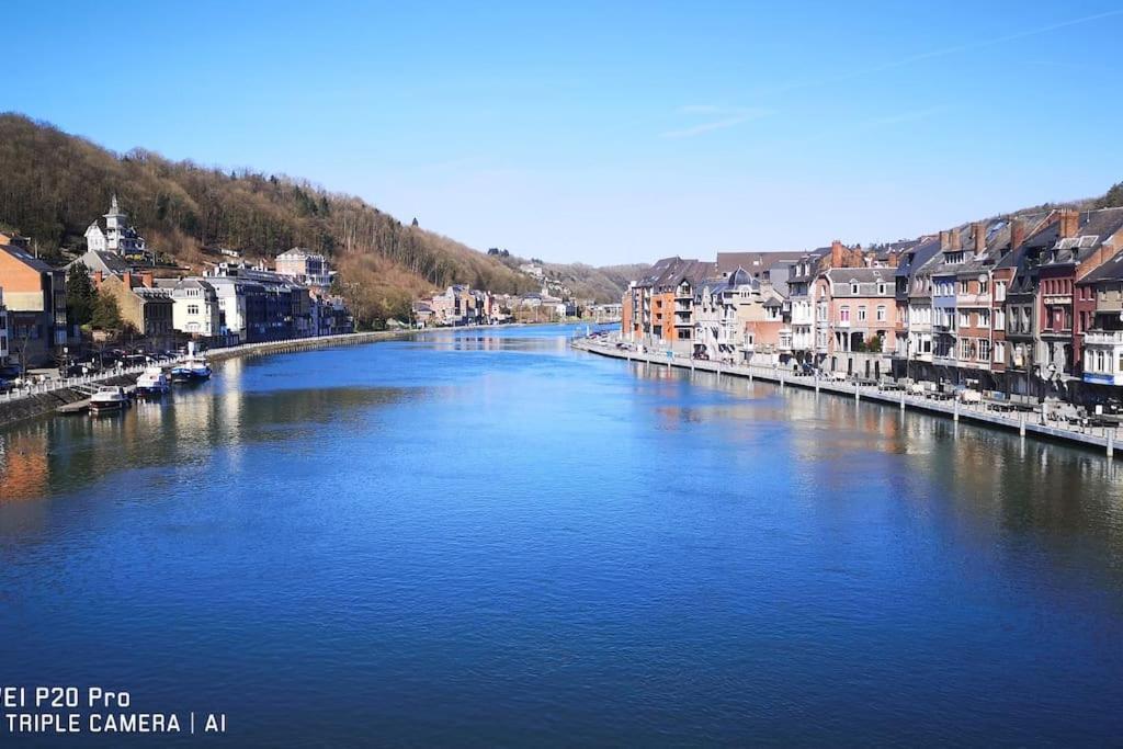 Vue Sur Meuse Avec Jacuzzi Et Sauna Exterieur. Yvoir Kültér fotó