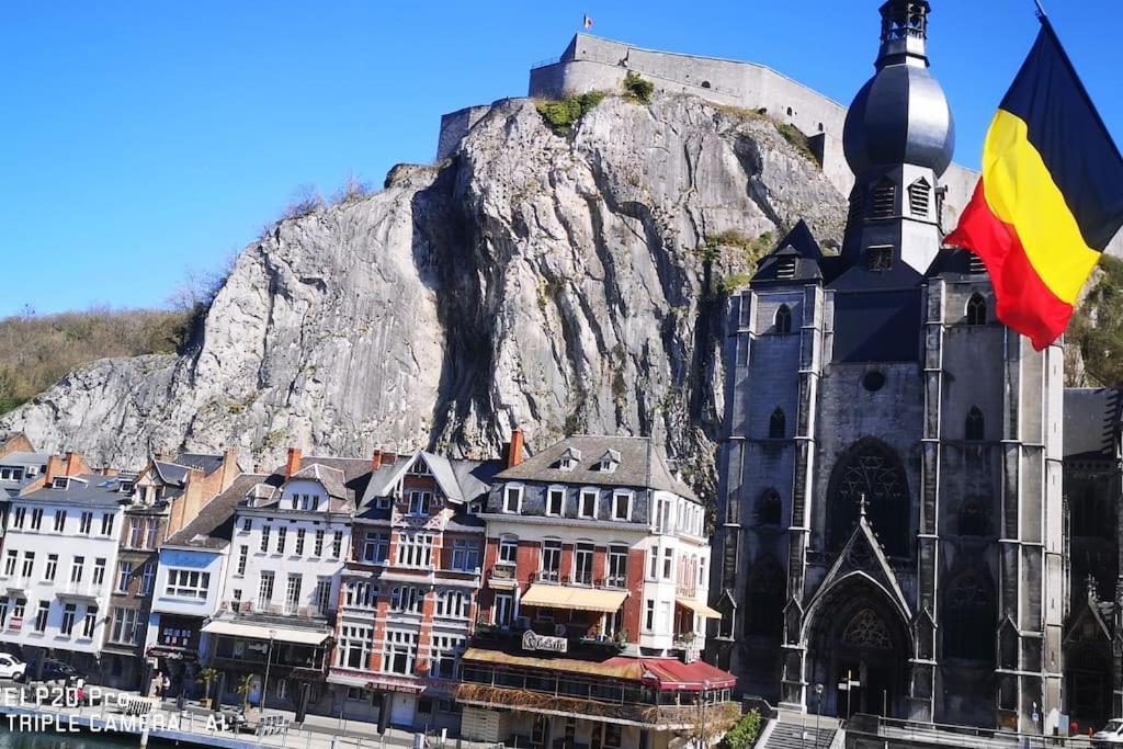 Vue Sur Meuse Avec Jacuzzi Et Sauna Exterieur. Yvoir Kültér fotó